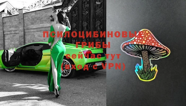 дмт Нея