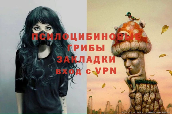 герыч Нефтекумск
