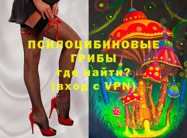 дмт Нея