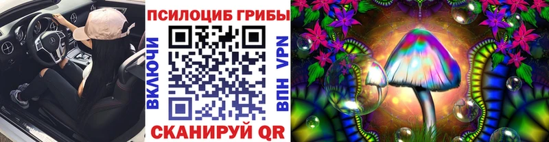 кракен вход наркота Петровск Псилоцибиновые грибы GOLDEN TEACHER