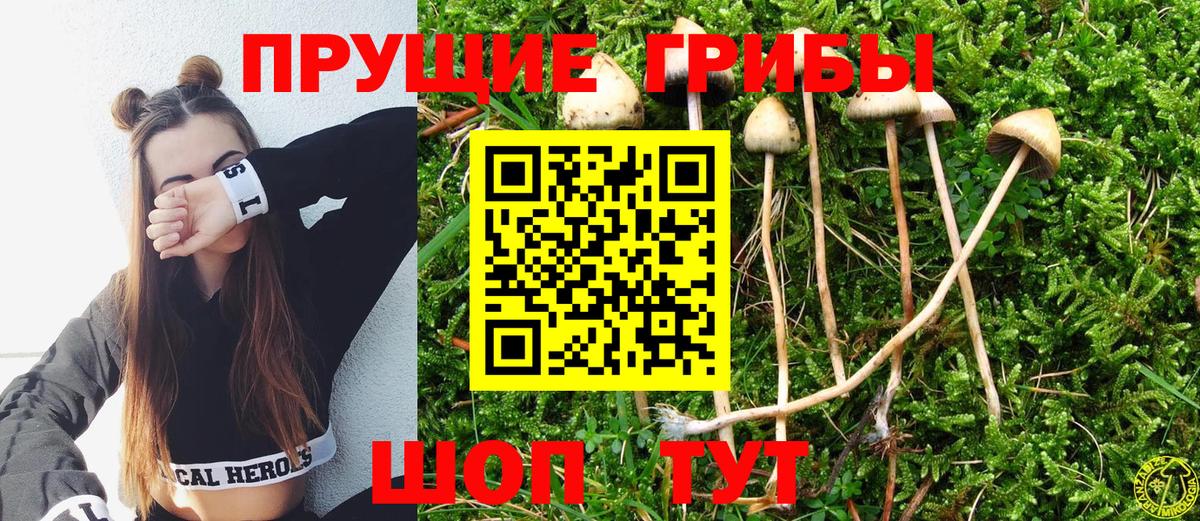 Галлюциногенные грибы GOLDEN TEACHER Петровск