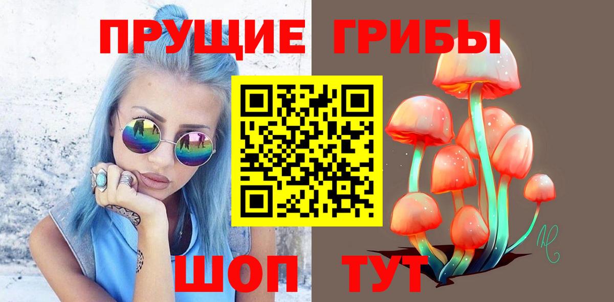 даркнет сайт  Петровск  Псилоцибиновые грибы прущие грибы 