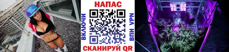 Конопля ГИДРОПОН Петровск